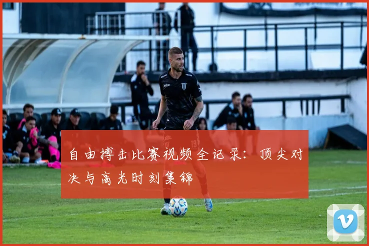 自由搏击比赛视频全记录：顶尖对决与高光时刻集锦